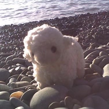 lookieu's profile picture. ID/EN | personal acc, mulfand🌟 nwa !!(•'╻'• ) | INFJ orangnya nagntukan💤🐑