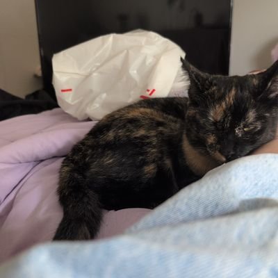 Sienna65623's profile picture. 