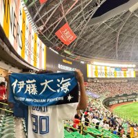 グンティー (@lemon_fighters) 's Twitter Profile Photo