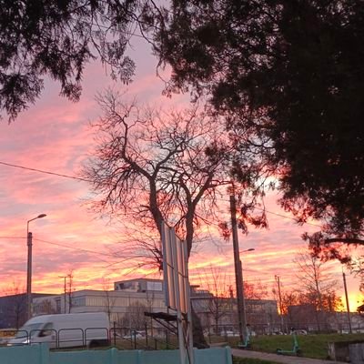 MohamedShormanX's profile picture. 👉👈