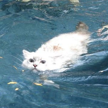 ClarTheYapper's profile picture. 🦋𝒫𝑒𝓇𝓈𝑜𝓃𝒶𝓁 𝒹𝒾𝒶𝓇𝓎 𝑜𝒻 𝒶 𝑀𝒶𝓎 𝑔𝒾𝓇𝓁. 𝒥𝓊𝓈𝓉 𝓌𝒶𝓃𝓃𝒶 𝓎𝒶𝓅 𝒶𝓃𝒹 𝓈𝒽𝒾𝓃𝑒.