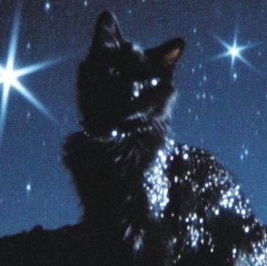 bowsnashes's profile picture. 