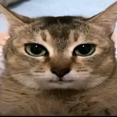 Egg3n's profile picture. egg4n | Egg 19 | I draw my Ocs and some animals here! 16+