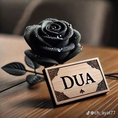 MaislinSydney's profile picture. Islam my identity 🥰