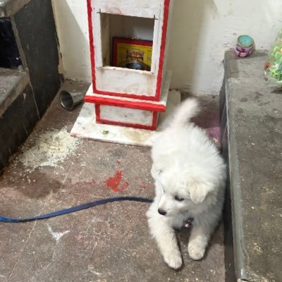 kiranshanmuk's profile picture. 