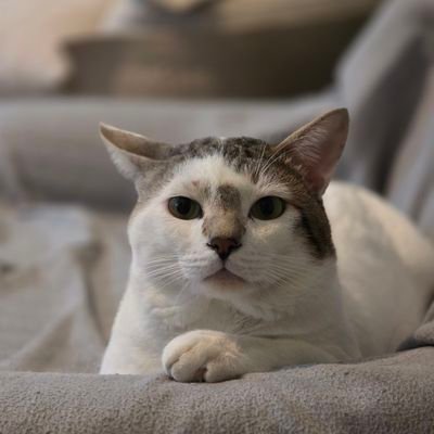 lei92490's profile picture. EmiBonnie