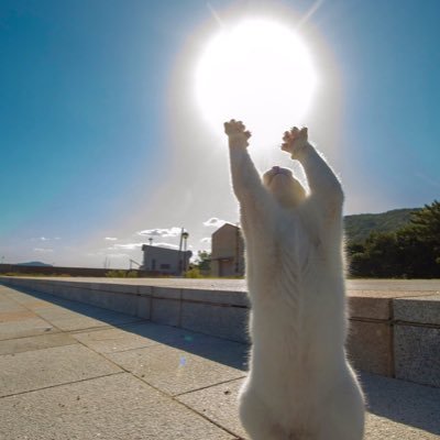 photoclickx's profile picture. 🌌