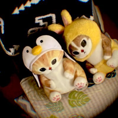 wondernova_1199's profile picture. NYY/MLB