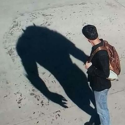 MirrorMaverick's profile picture. Figuring out