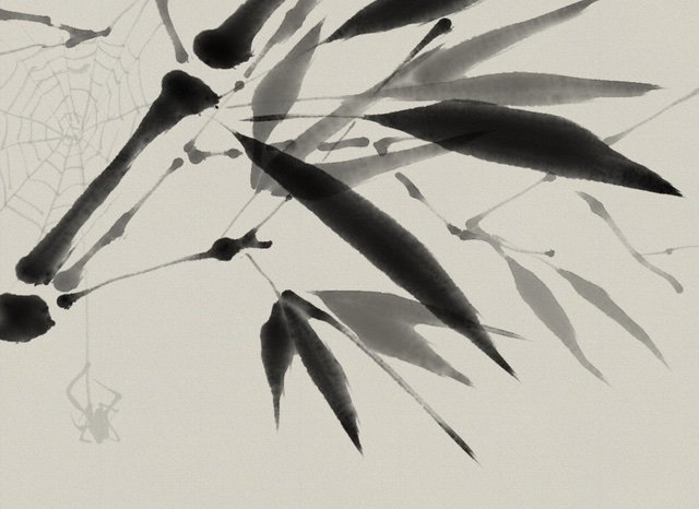 Shieshyor's profile picture. 