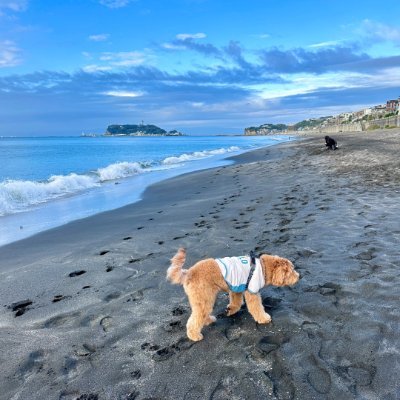 LytRealhoa's profile picture. ニューヨークの夜景は、まるで時間まで輝いているようで、立ち止まらずにはいられませんでした。
あの光は今でも記憶の中で優しく揺れています。
安定の中で投資を続ける。