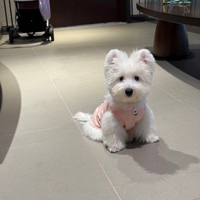 since9779's profile picture. 