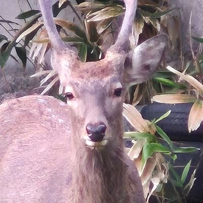 tommys52568709's profile picture. 最近はアニメを観たり映画を観たり。
特筆すべきものは何もありません。