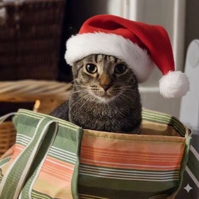 Lalit22335's profile picture. A person who reads smartphone specifications in his free time.