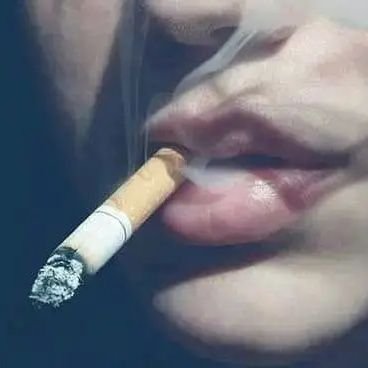 SecretSindhi's profile picture. Ever Never Give up