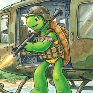 ALaperuta5164's profile picture. $Franklin The Turtle on SOL Turtels are slow, but they live long mp CSrwNk6B1DwWCHRMsaoDVUfD5bBMQCJPY72ZG3Nnpu