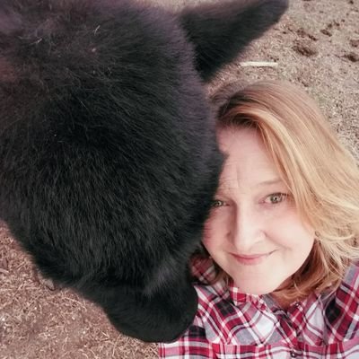 Kate18660449's profile picture. Living on the land far away from the madding crowd & watching the crazy world of media & politics