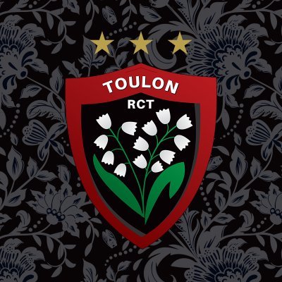 RCTofficiel's profile picture. Rugby Club Toulonnais #ParceQueToulon ⭐️⭐️⭐️ @RCT_English 🇬🇧 @fondationrct