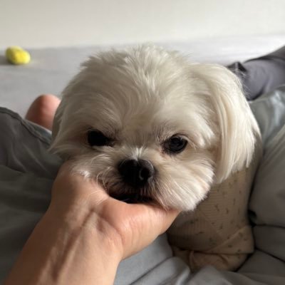 wannabelikeMEEE's profile picture. 