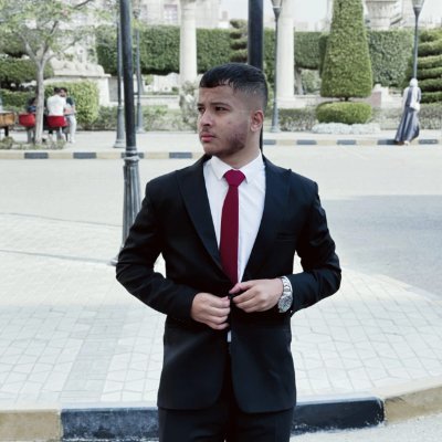 King_MinaNabil's profile picture. AI & Automation Engineer