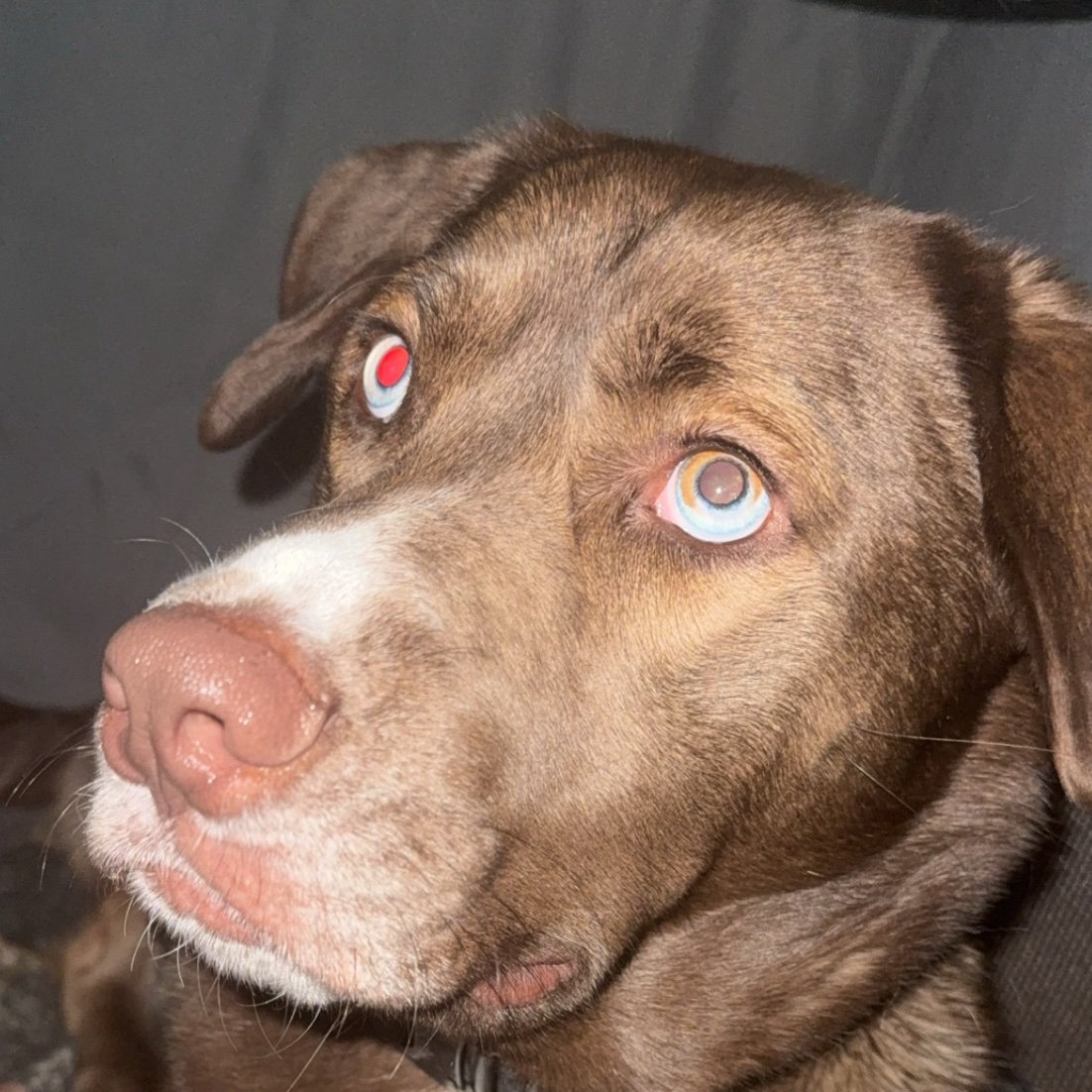 Shyannnnnnnne's profile picture. 