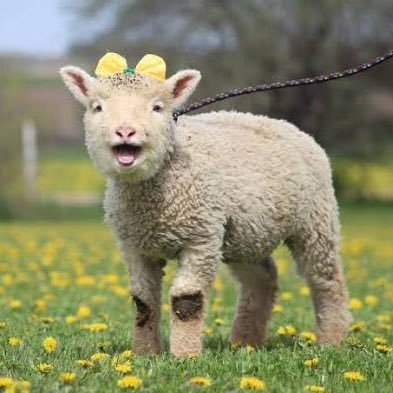 MEOnly1234567's profile picture. No Porn please, Curious mix of info, philosophy, peace, medicine, art, anthropology, neuroscience, and other studies. Terminally 💔