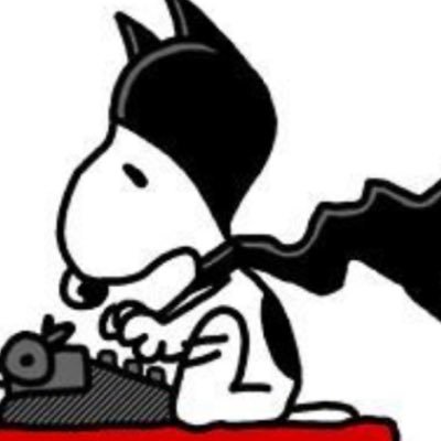 aghostreally's profile picture. 18 | the snoopy oomf | horror enjoyer | it/they | proship/batcest dni | 1/2 of goldenduo💛 #8 angelstoner