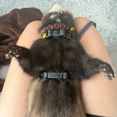 asamiharuna20's profile picture. 