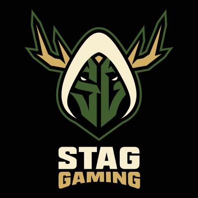 StagGamingHQ's profile picture. UK-rooted multi title esports & content org. Built for the long term. Focused on COD first, expanding with purpose. No hype. No shortcuts.