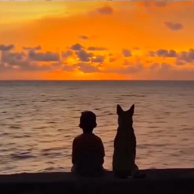 Vishsoni7's profile picture. मैं पल दो पल का शायर 🌻✨

SDE 👨🏻‍💻 | @neogcamp 23