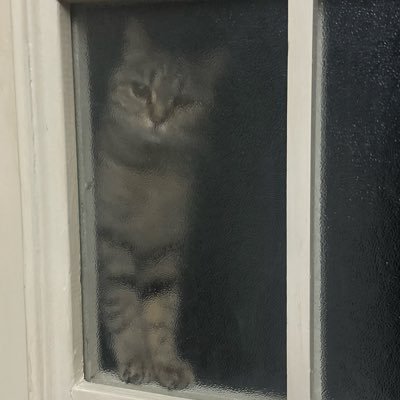 RamiKafafi78165's profile picture. 