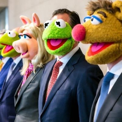 GovtClownShow's profile picture. Independent. I follow back. Former Dem. Explorer-63 Countries 🌎 World Politics #MAHA #Trump2024