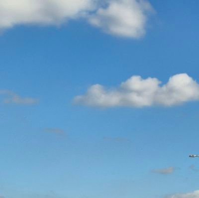 linnonisiho's profile picture. 