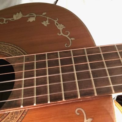 MStussi99161's profile picture. 