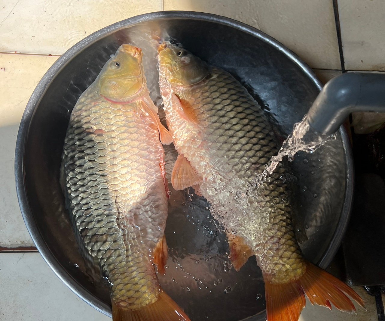 Okebabif2p's profile picture. 