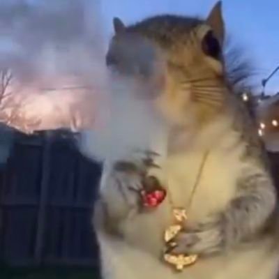 bakiricci's profile picture. parody acc