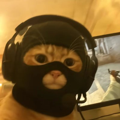 Brixxfps's profile picture. ★ 20 ★ 🦦 ★