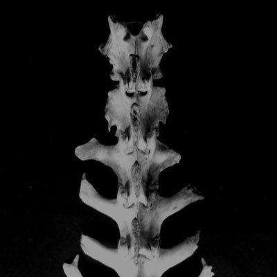 gotfawayy_'s profile picture. 