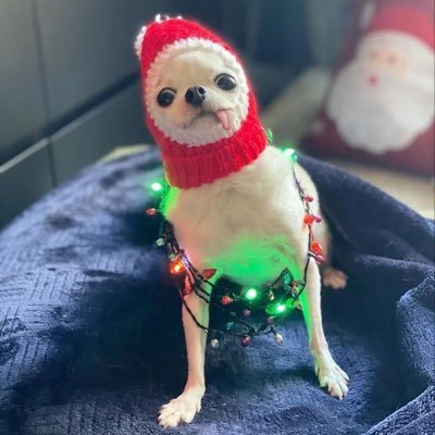 NotClaudine's profile picture. 