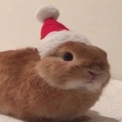 NS8912070312's profile picture. ▪️Ghost推 ▪️m/f only▪️size diff