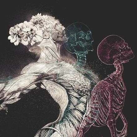 Deanotropulis's profile picture. ℕetworker | Disrupτive τech Enthusiast |  ℚuester of Magic Internet Money | Venture Capitalist | Seeker of the Next Big Thing | ICT Trader 🧠📚