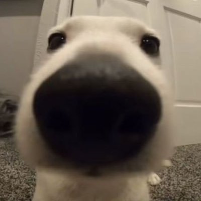 hmmnnnya's profile picture. 