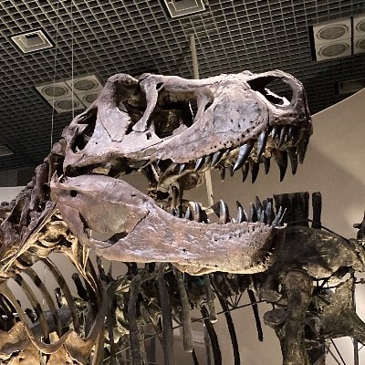 eclair215s's profile picture. ねこをもちもちしてぼちぼちぼたもち
⏰/🌠/❤️‍🩹/🧸🌙/🍕🎢/🫧/🐱💫/⚾️🧡/🐰🗞️/🚓🐾/🥗/🧢🪽