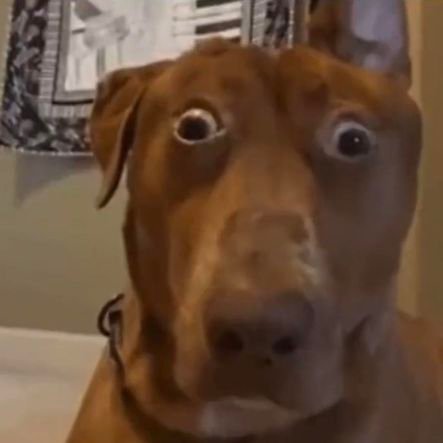 dev_retarded's profile picture. Full time Backend & Postgres.
Part time Infra & Web Security hobbyist!