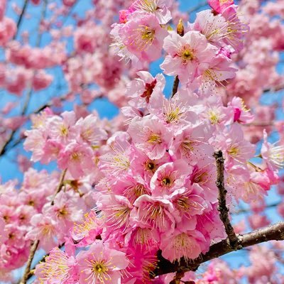 suiza34746165's profile picture. 【松本潤くん】立ち振る舞い.考え方などアイドルとしても1人の男性としても尊敬する。好きになって23年目😌💜【ラウールくん】存在そのものが奇跡で尊く.お姿も中身もかっこ可愛すぎる。ぽやぽや喋るの可愛い🍭齢22歳にしてオーラ.華やかさが秀逸。大好きすぎる😢🤍事務所内の他皆様も応援してます。推し活友達募集中です😌