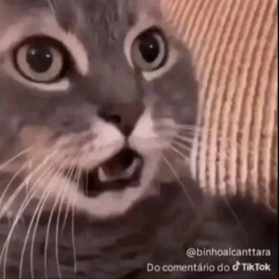 KPpartofme's profile picture. Jujutsu Kaisen 🏳️‍🌈 Paraibana 🖤 Fã do @Alanzoka