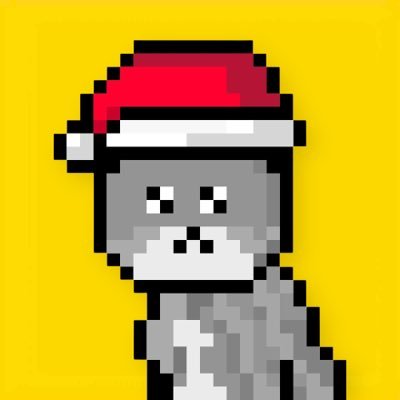 BegoniaOnChain's profile picture. CommunityMaxi | Sol On Chain ⛽️. BULLBEARS https://t.co/U8g2qKrdfo