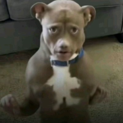 KEYNROB's profile picture. 