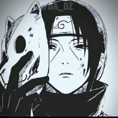 Robey1790525's profile picture. 