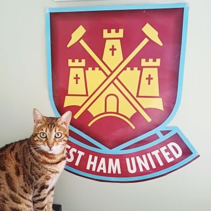 Denny_Denovan's profile picture. Created in Hereford - Existing in Chesterfield ⚒ Abandon hope all ye that enter my world for it rains cats and frogs   🐸 🐱 🐸 🐱 
⚒WHTID⚒